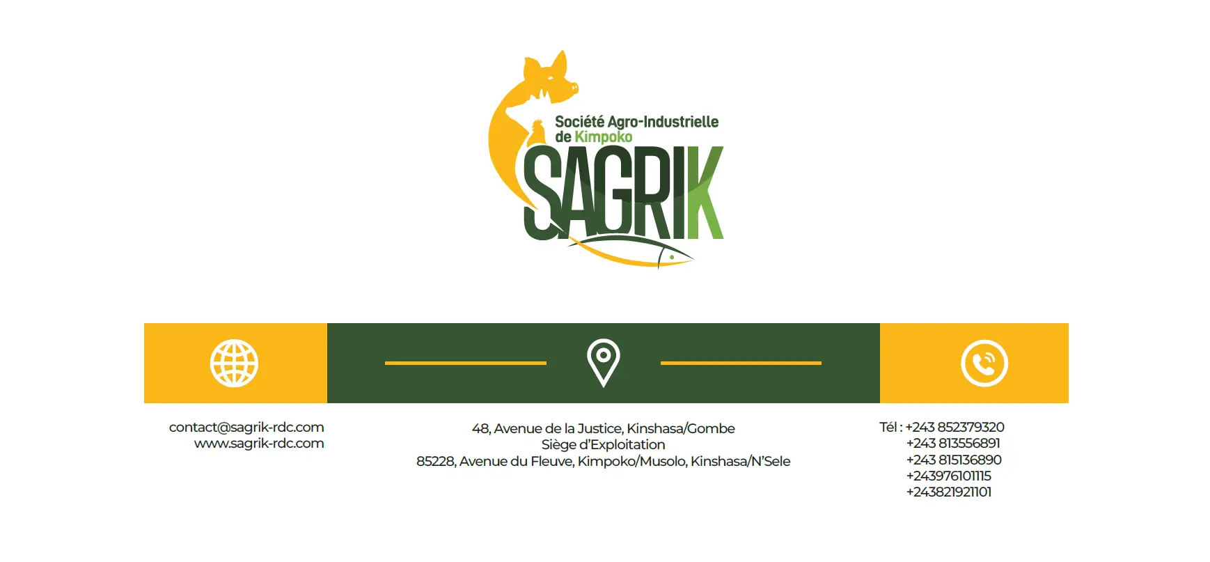 SAGRIK PLAQUETTE P11